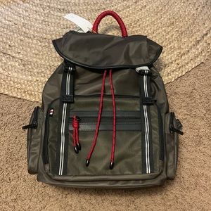 Brand new gorgeous mouflon backyard